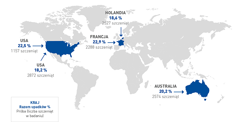 header-map